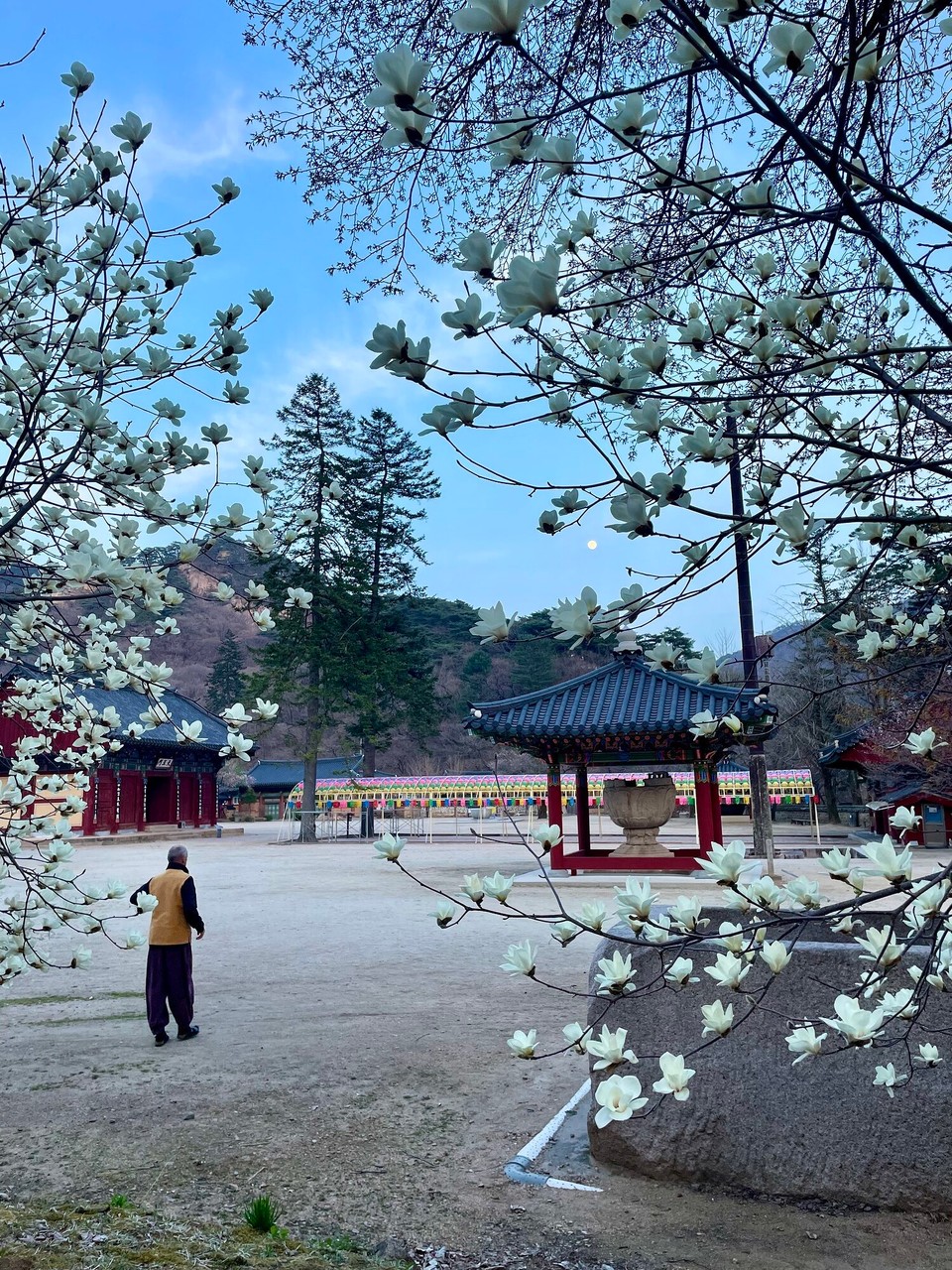 대한민국 -  - 