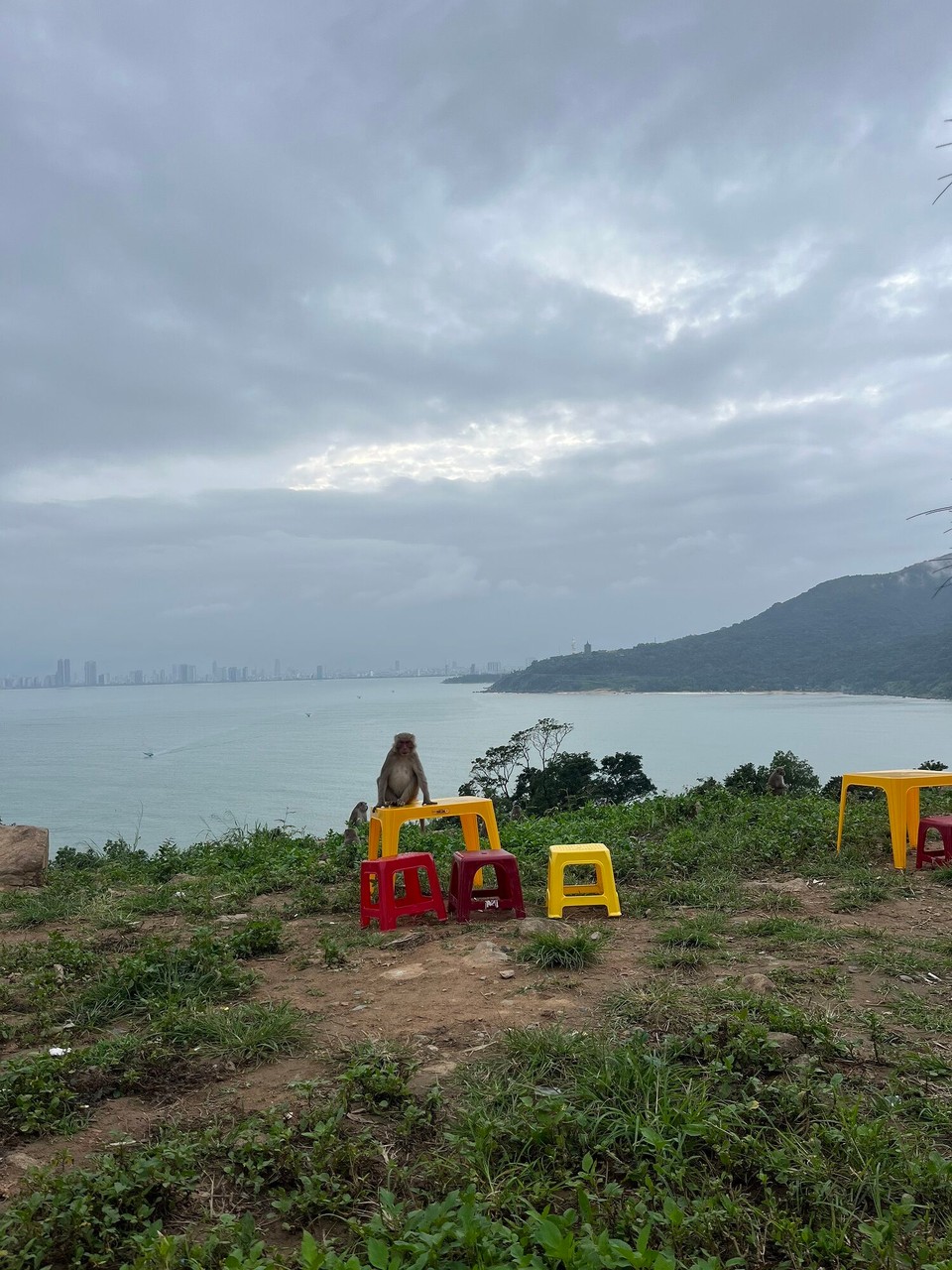 Vietnam - Da Nang - 