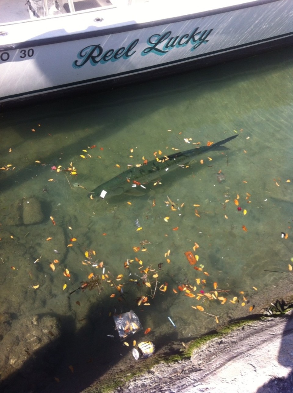 Egyesült Államok - Key West - 