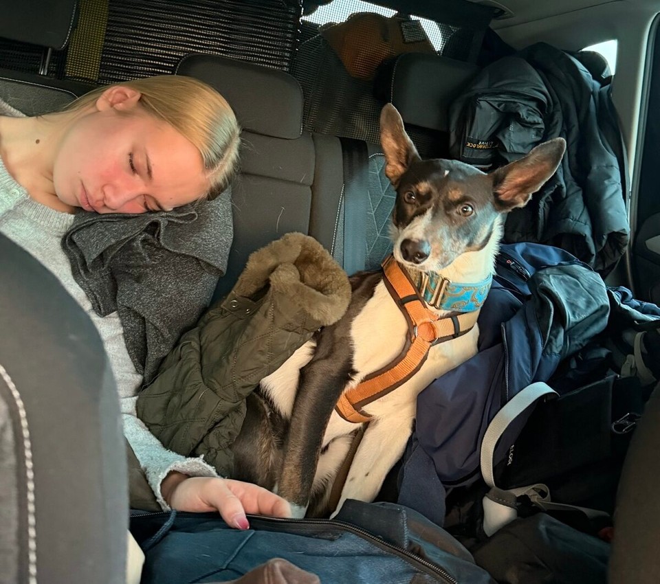 Norwegen - Espa - Skifahren macht müde. 