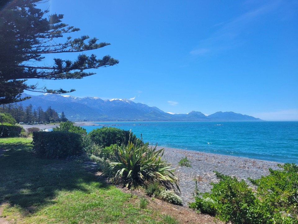 Neuseeland - Kaikoura - 