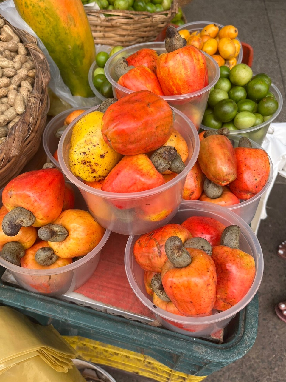 Brasilien - Salvador - Cashews Frucht Samen die Nuss