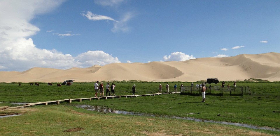 unbekannt - Gobi Desert - The oasis by the sand dunes - seems photoshopped