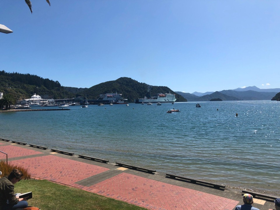 Neuseeland - Wellington - Der Hafen von Picton mit den beiden Fähren
