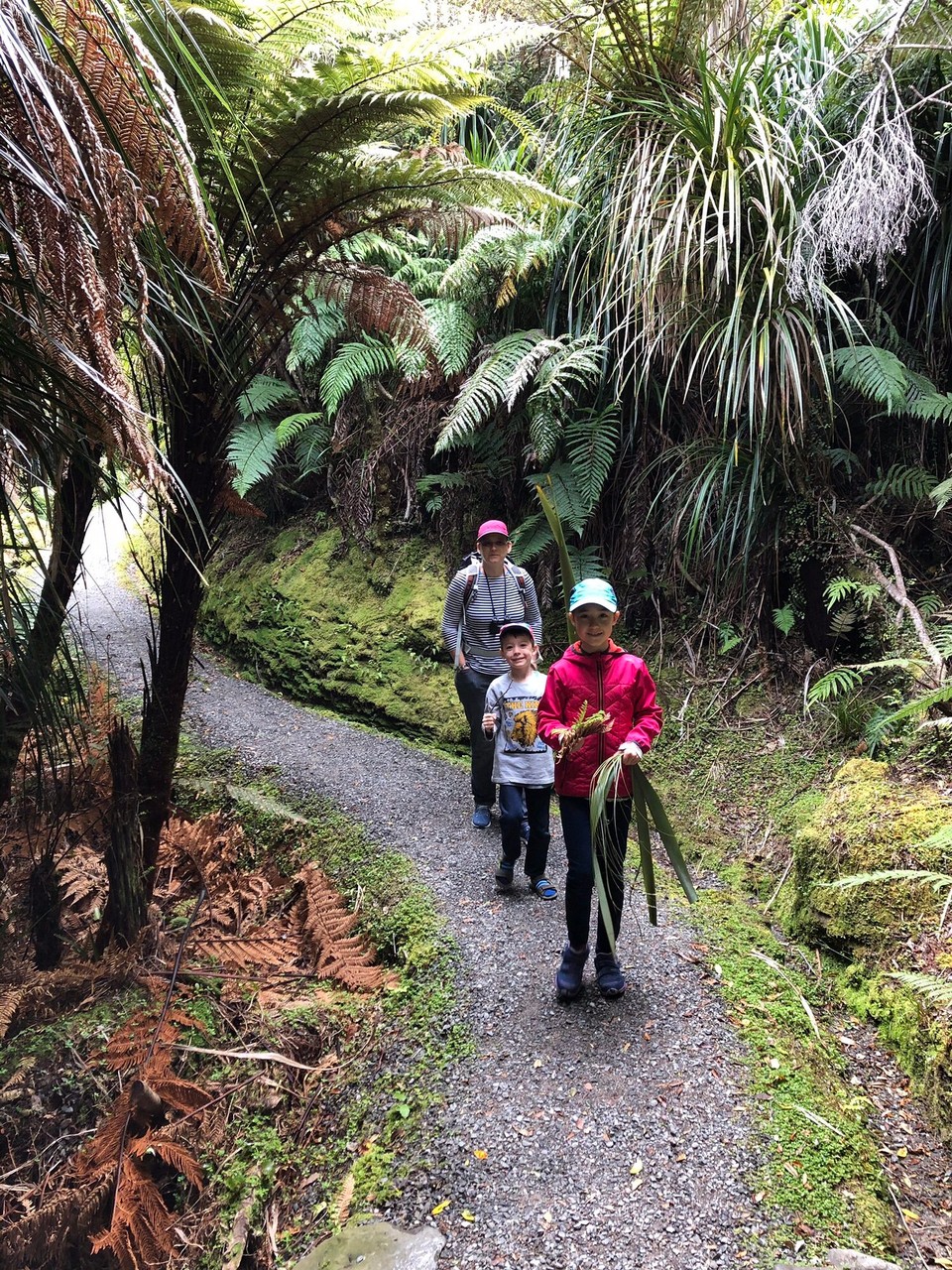 Neuseeland - Haast - 