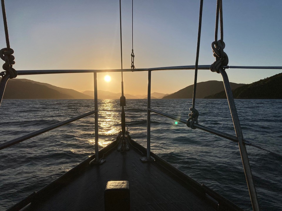 Neuseeland - Marlborough Sounds - 