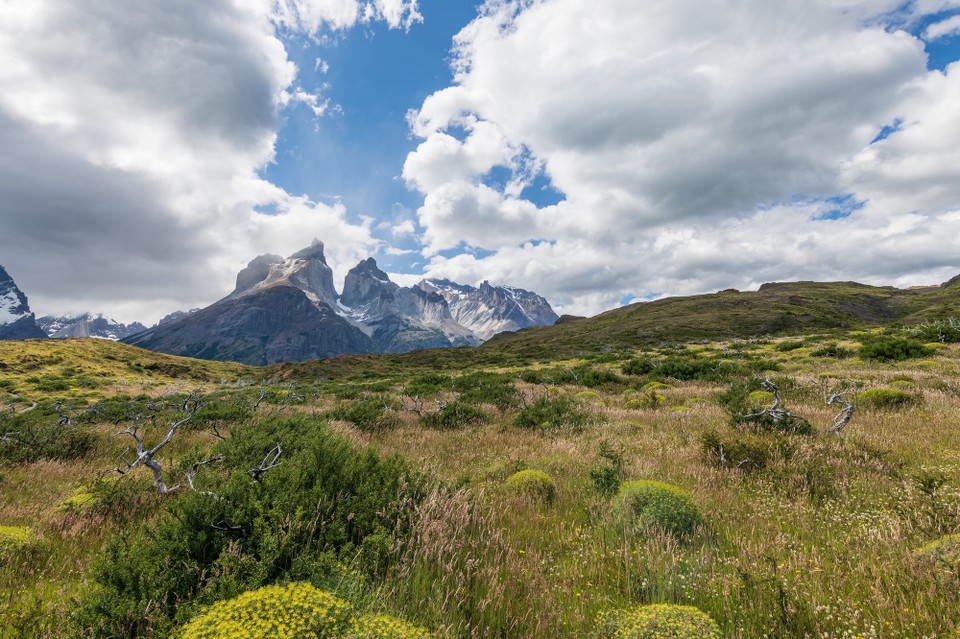Chile - Torres del Paine - 