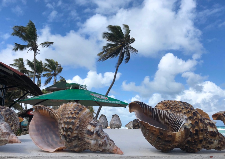 Dominikanische Republik - Miches - Playa Macao