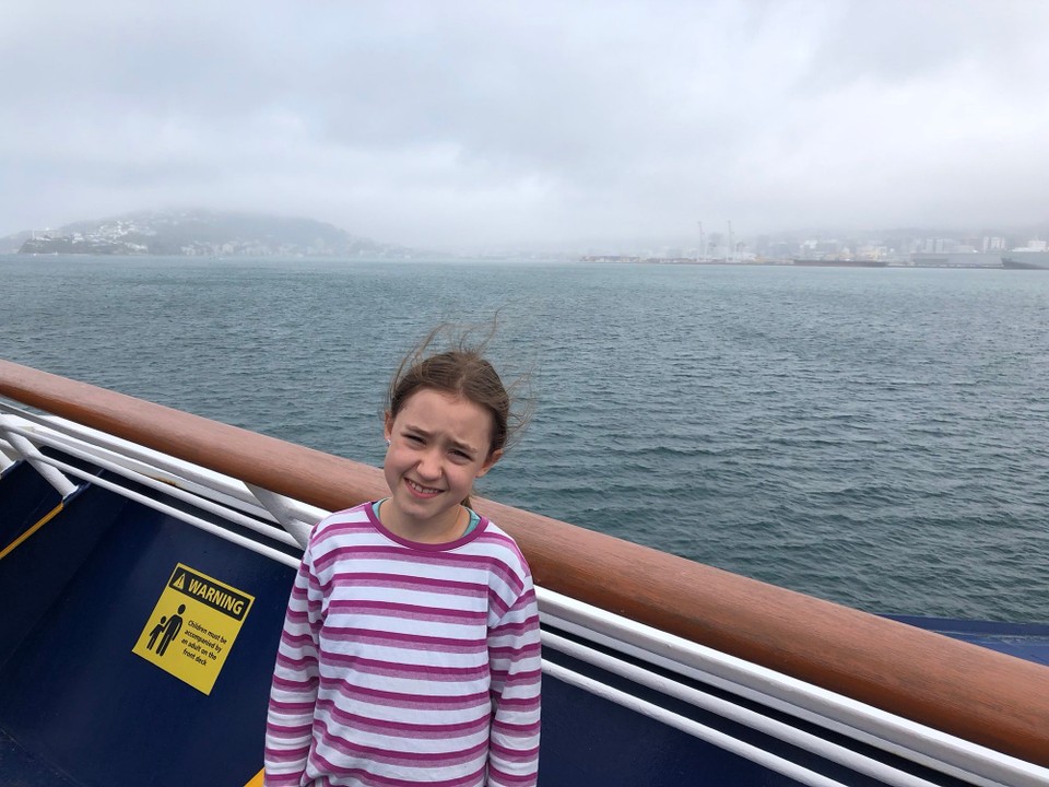 Neuseeland -  - Das erste Bild von der Nordinsel: Ankunft in Wellington.
Die Fahrt war sehr gut. Teilweise etwas neblig. Aber sonst ziemlich ruhig.