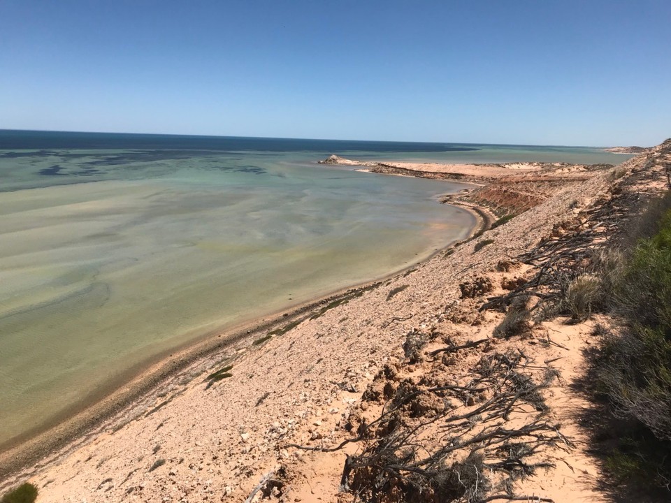 Australien - Denham - Aussichtspunkt Eagle Bluff