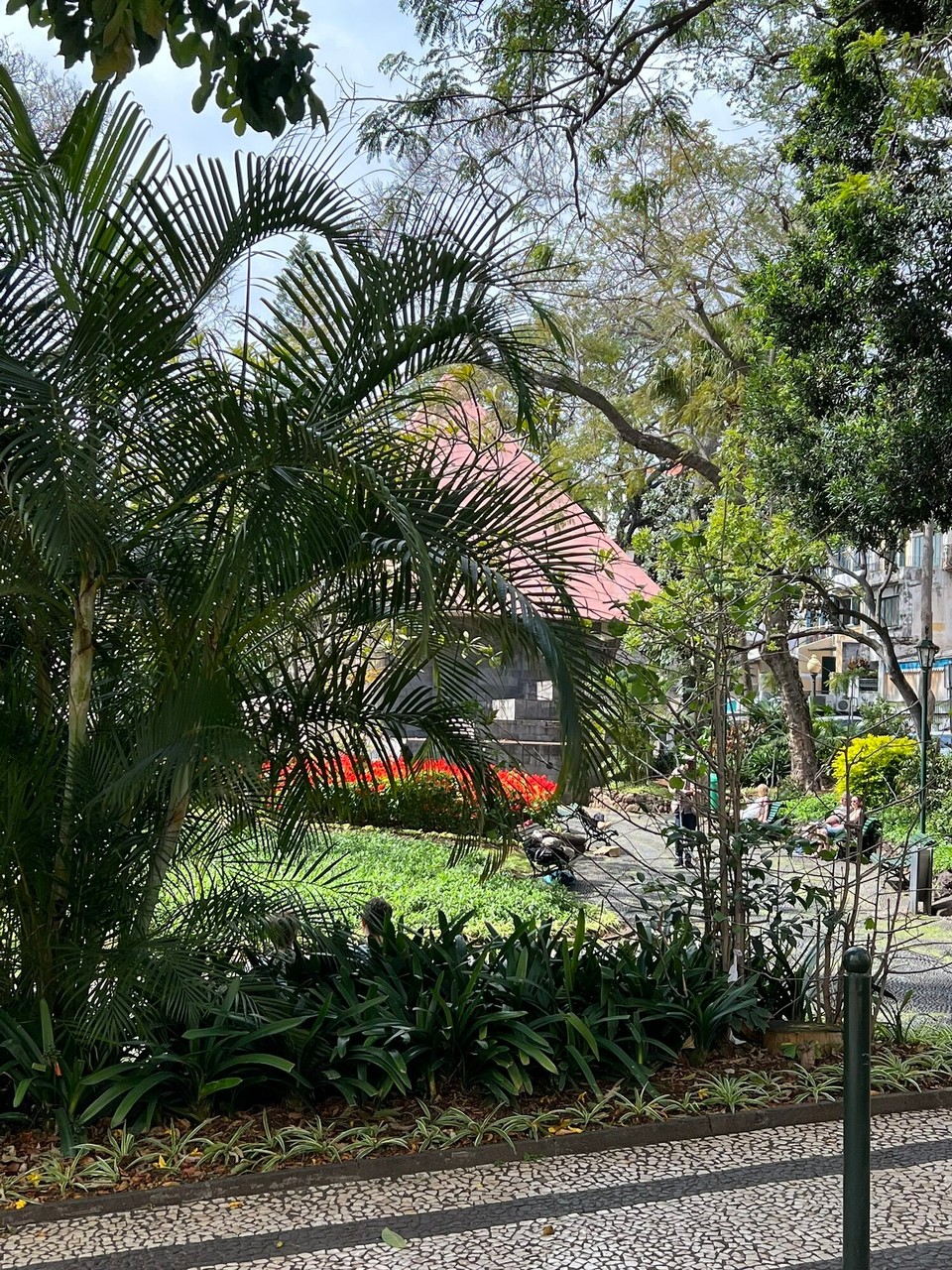 Portugal - Funchal - 