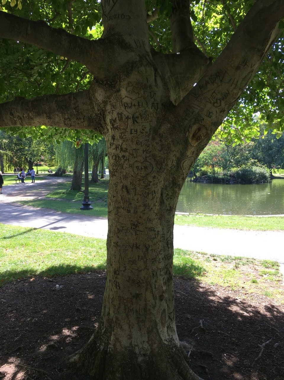  - Vereinigte Staaten, Boston - Die Idee mit dem Verewigen hatten hier wohl ein paar mehr 