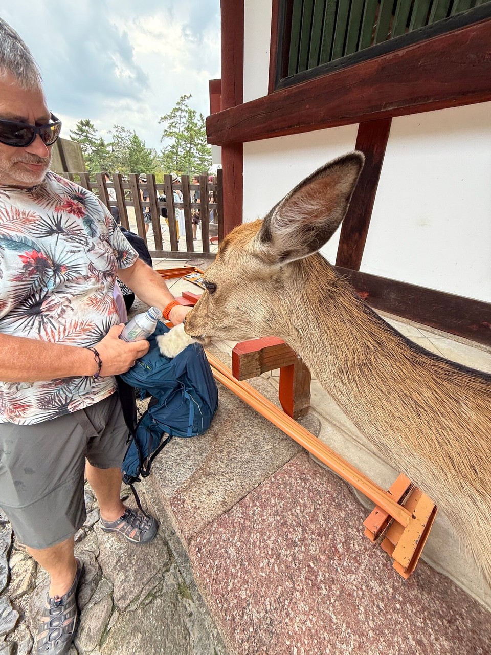 Japan - Koya - Liebevolle Pflege