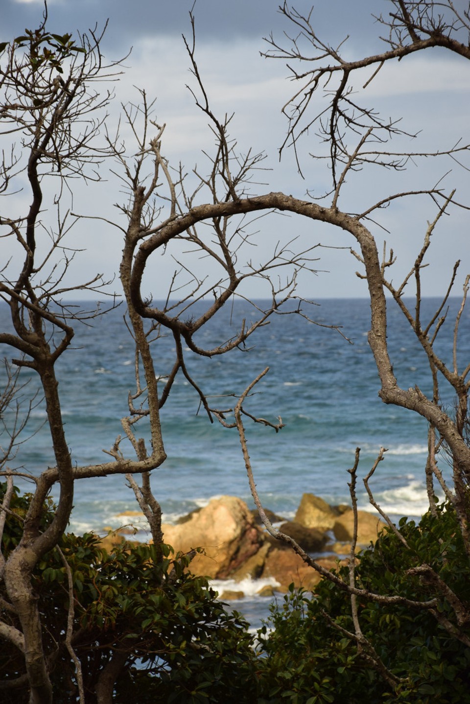 Australien - Port Macquarie - 
