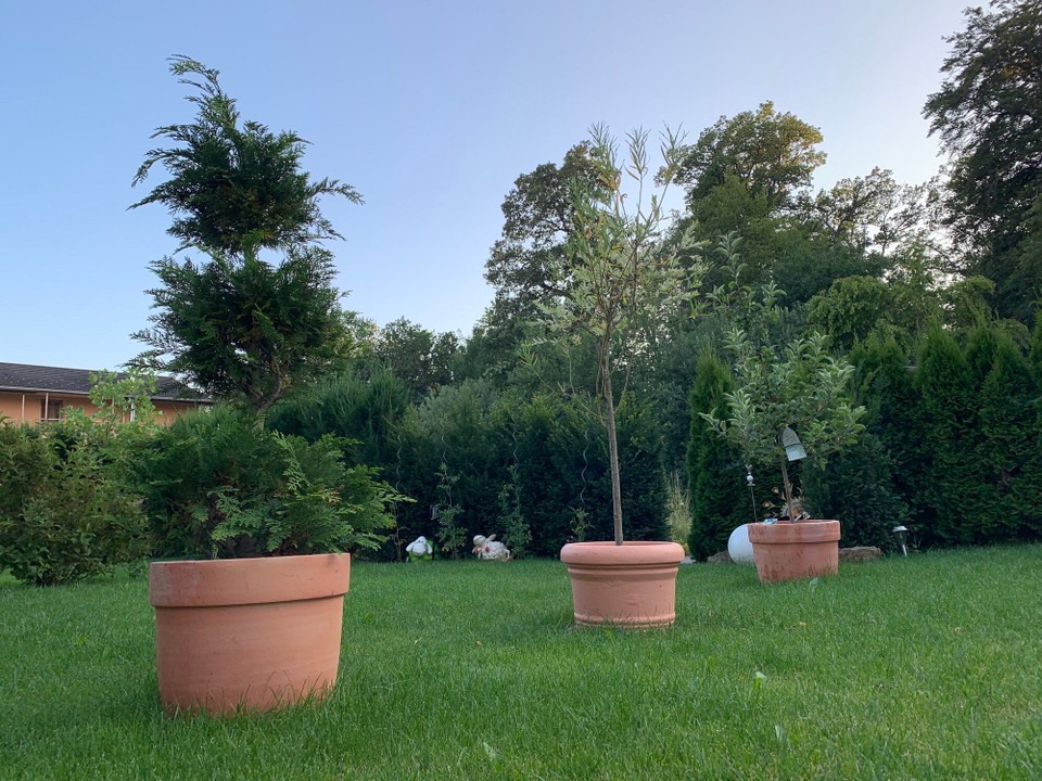 Deutschland - Böblingen - Ein letzter Blick in den heimischen Garten. Los gehts!!!
