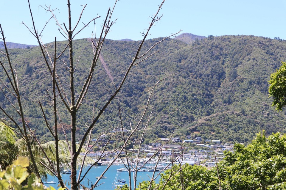 Neuseeland - Picton - 