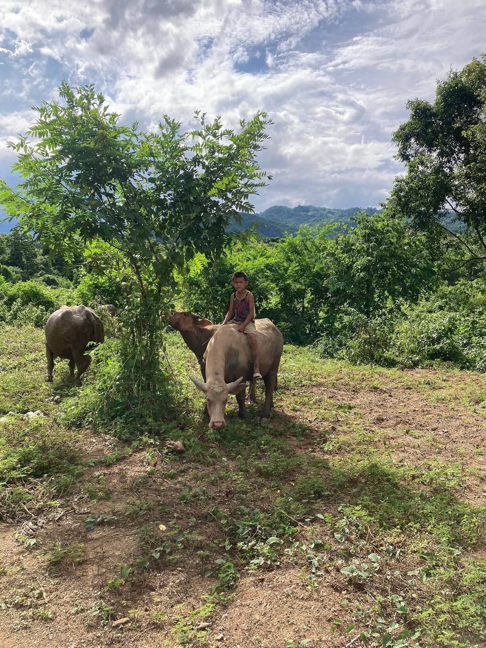 Laos - Luangprabang - 