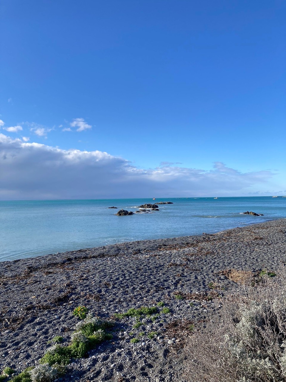 Neuseeland - Kaikōura - 