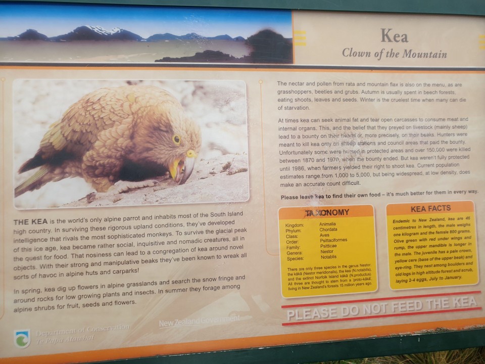 Neuseeland - Wanaka - 