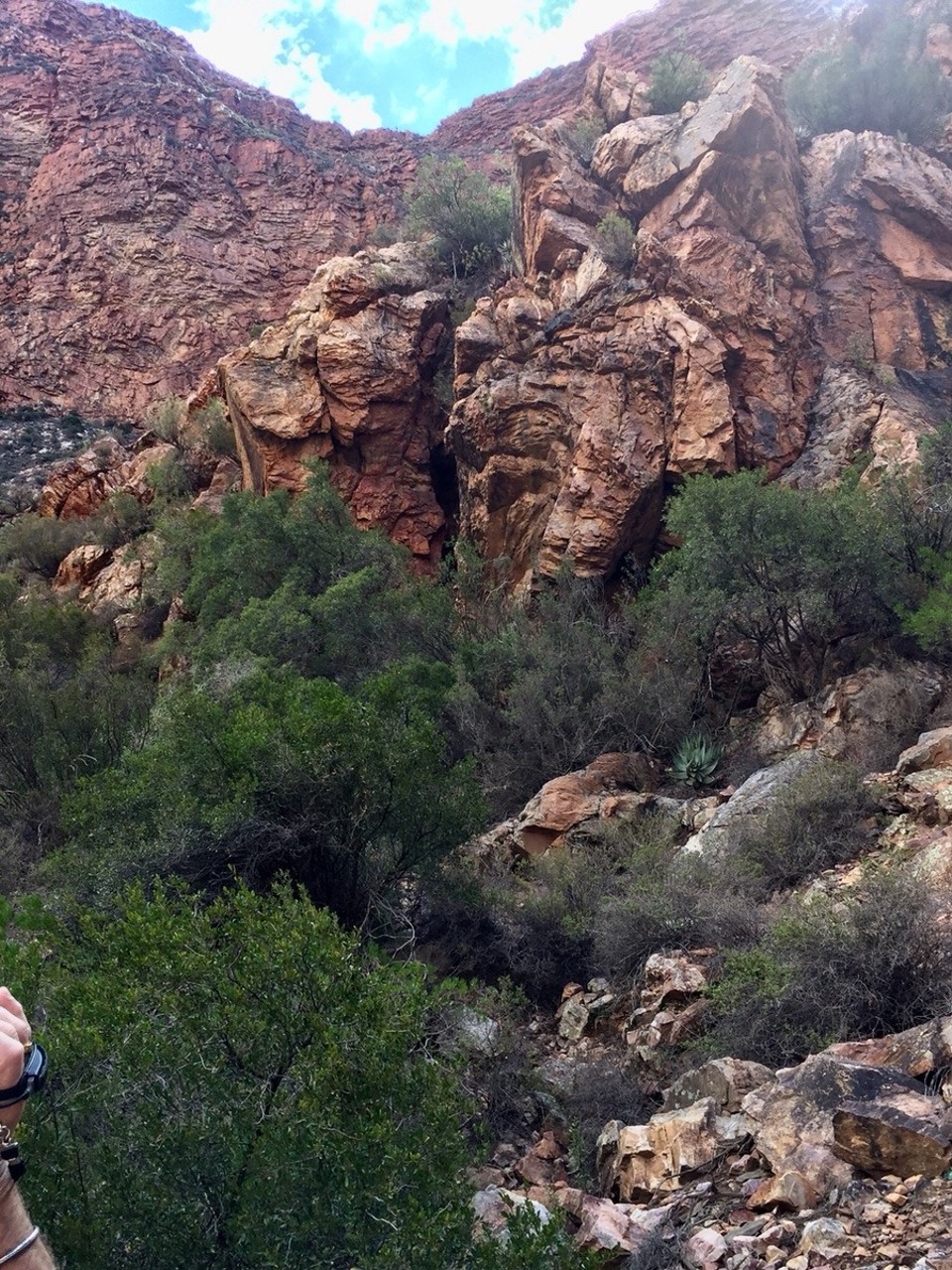 Südafrika - Oudtshoorn - 