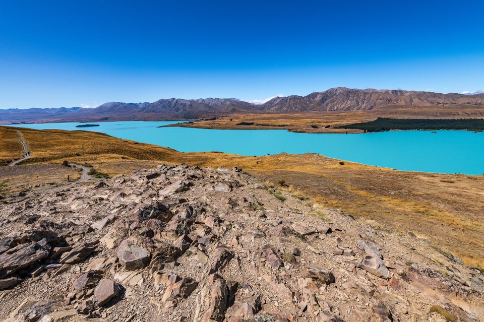 Neuseeland - Tekapo - 