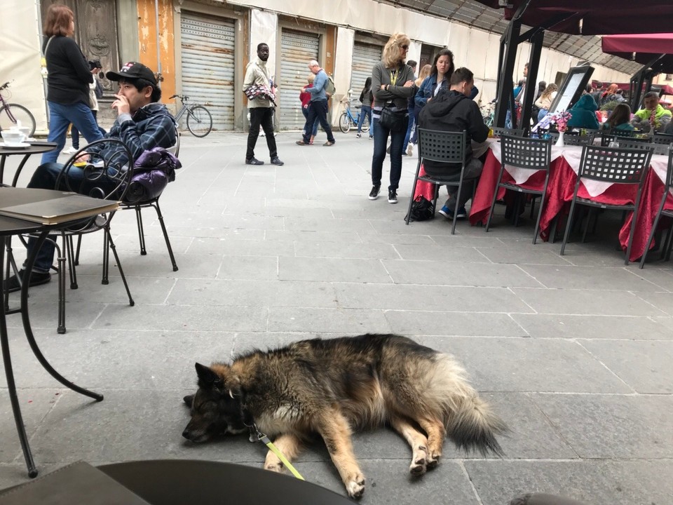 Italien - Pisa - …schlagskaputt