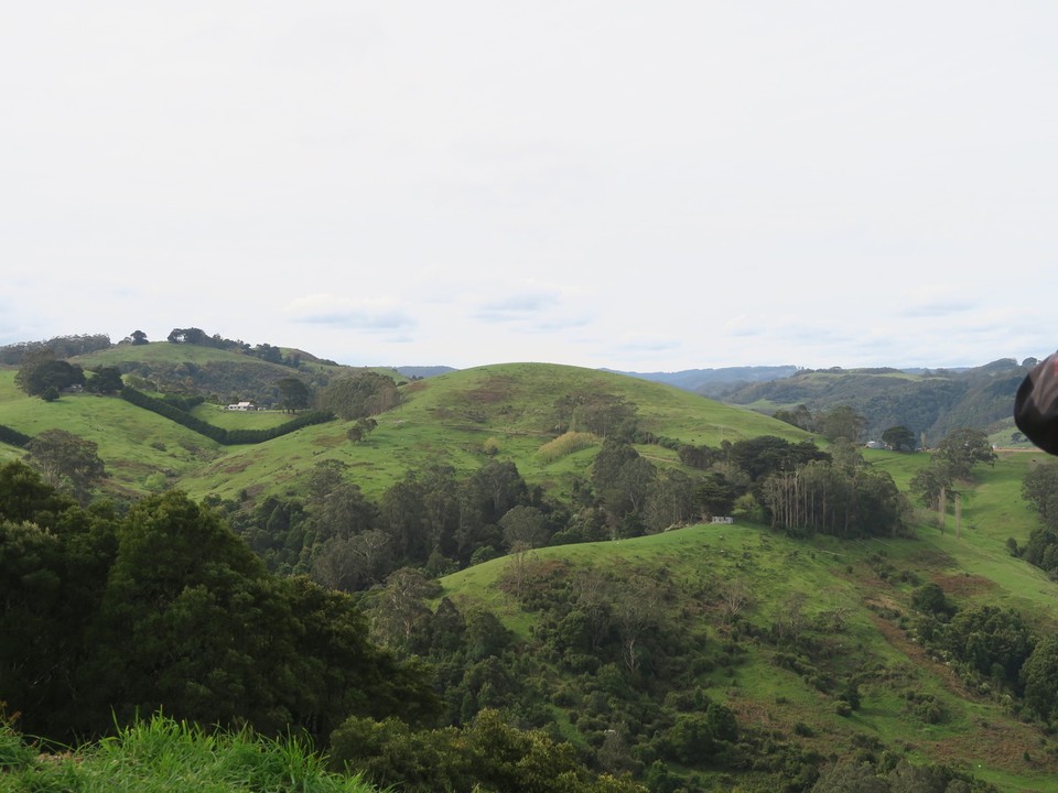 Australia - Jan Juc - La campagne bien verdoyante