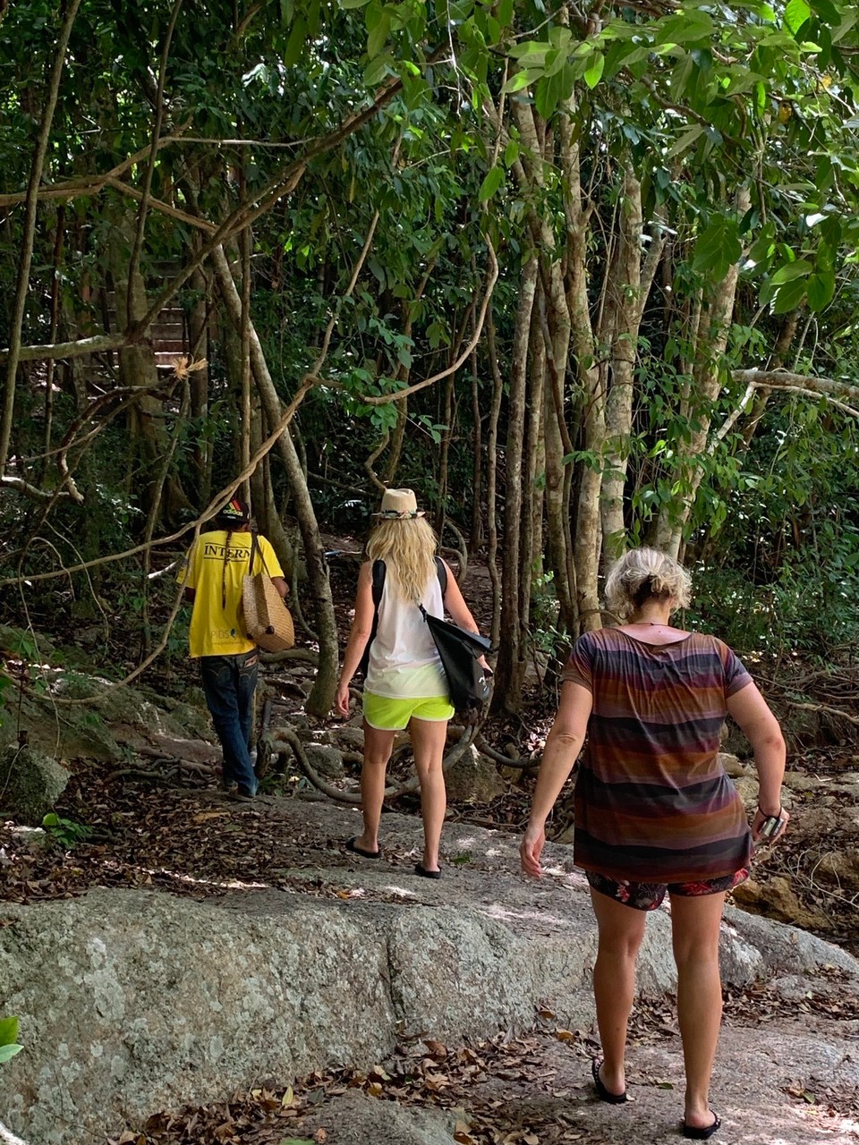 Thailand - Amphoe Ko Pha-ngan - 