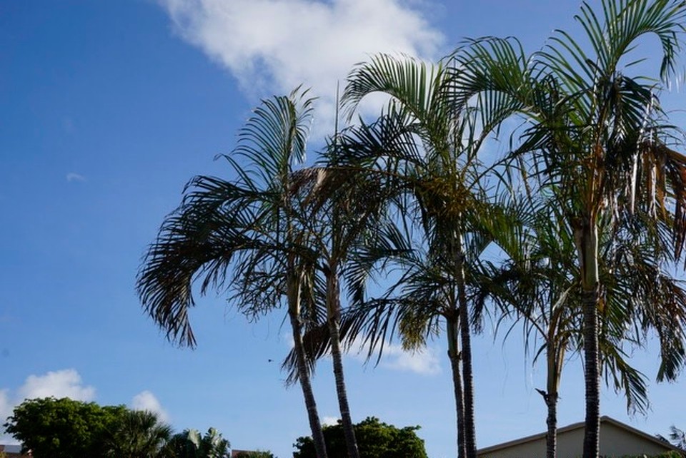 Vereinigte Staaten - Pompano Beach - 