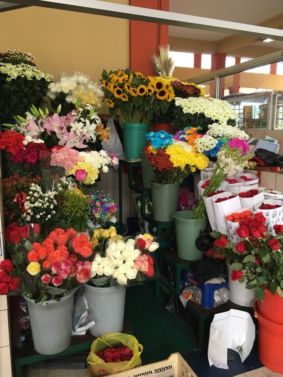 Ecuador - Quito - 