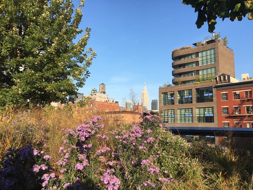 United States - New York - Highline Park - hier in NY werden alte Zugschienen ganz einfach in einen Park durch die ganze Stadt verwandelt