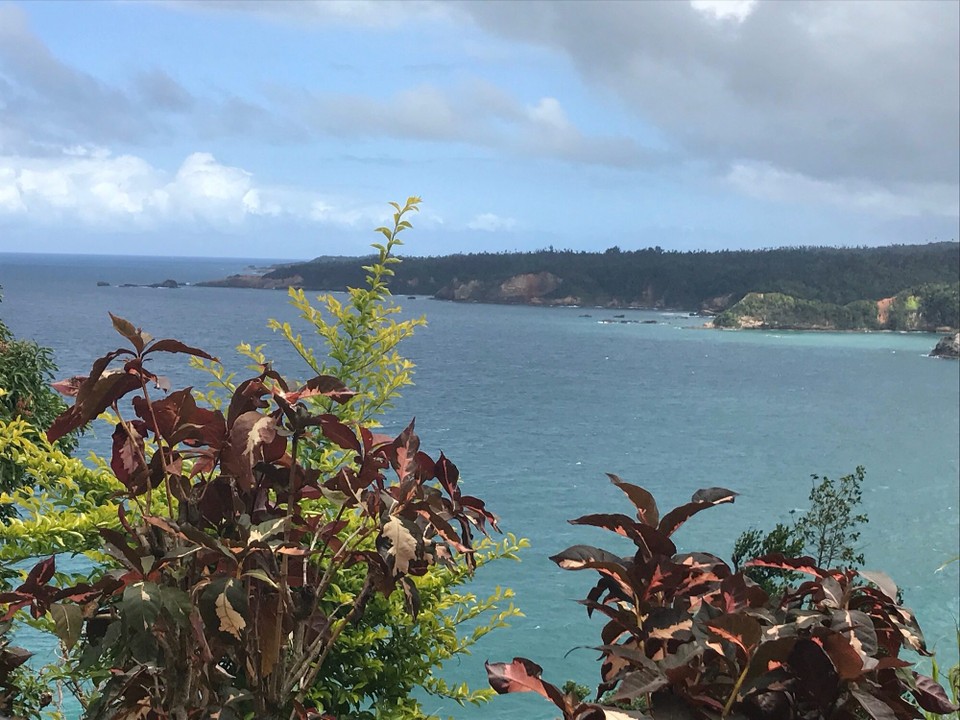 Dominica -  - 