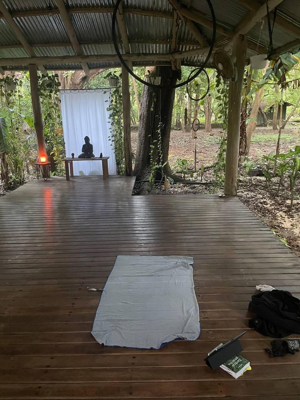 Costa Rica -  - Ein ruhiger Morgen in Santa Teresa 🧘🏽‍♀️ 