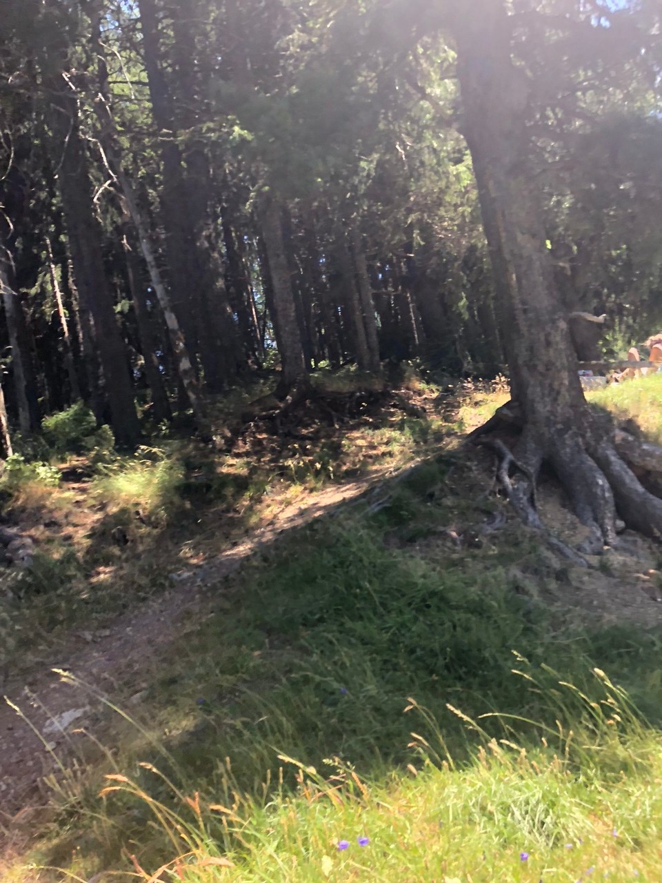 Schweiz - St. Moritz - 😁😉HIER MEIN SCHATTIGES  PLÄTZCHEN