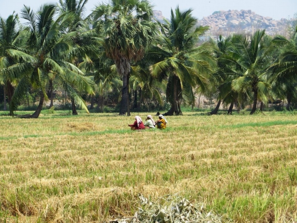 Indien - Hampi - 