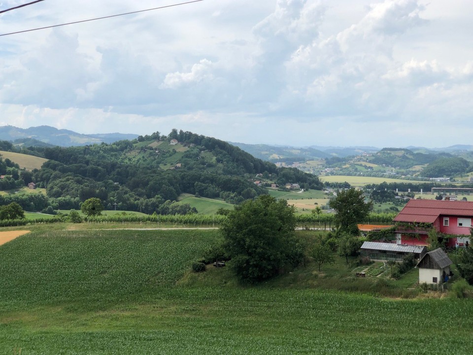 Slowenien - Marburg - Weinbau um Maribor