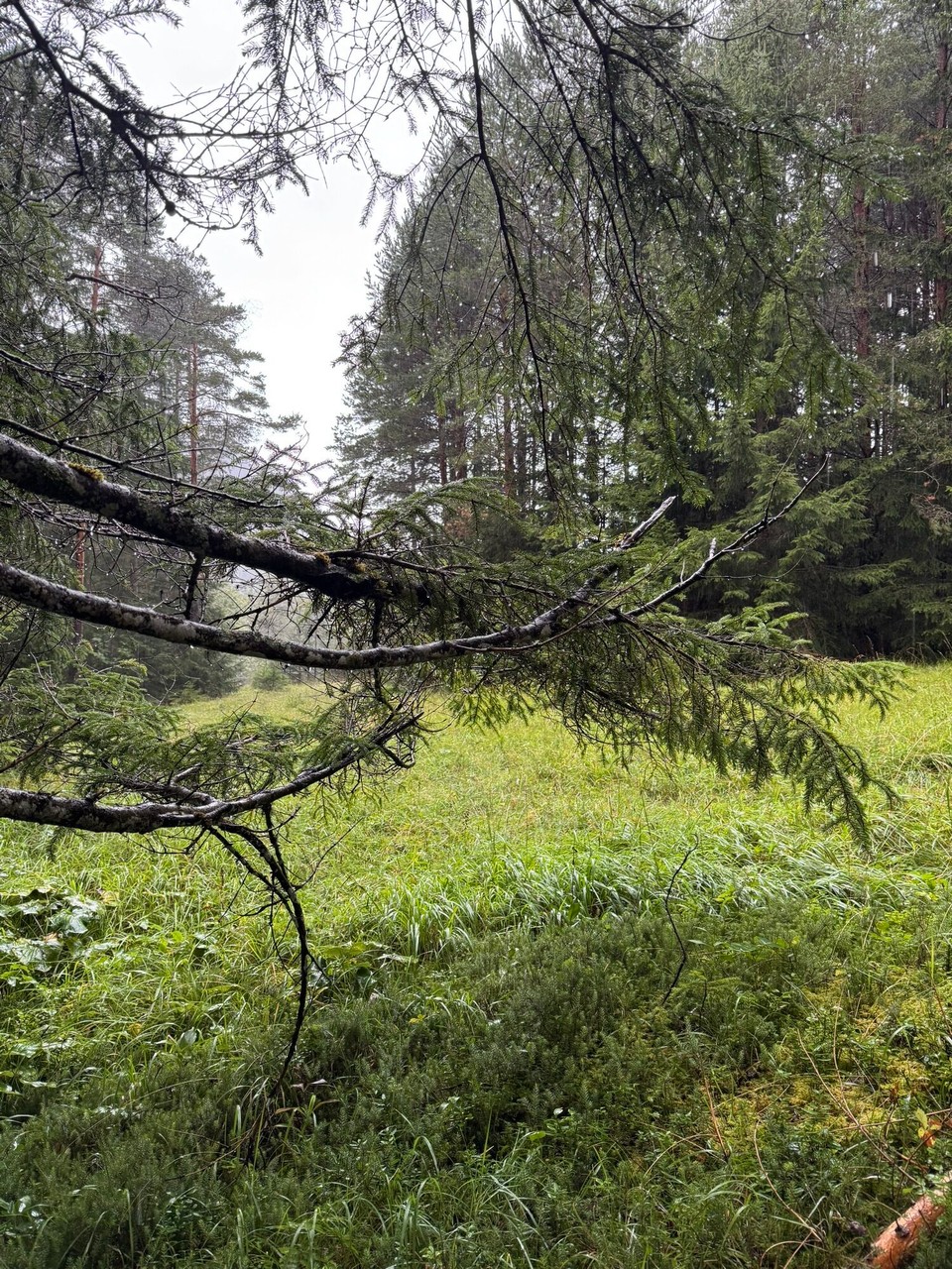 Österreich - Scharnitz - 