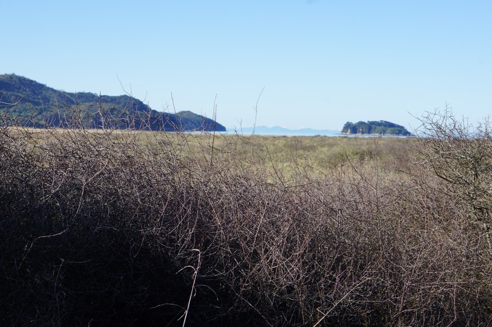Neuseeland - Takaka - 