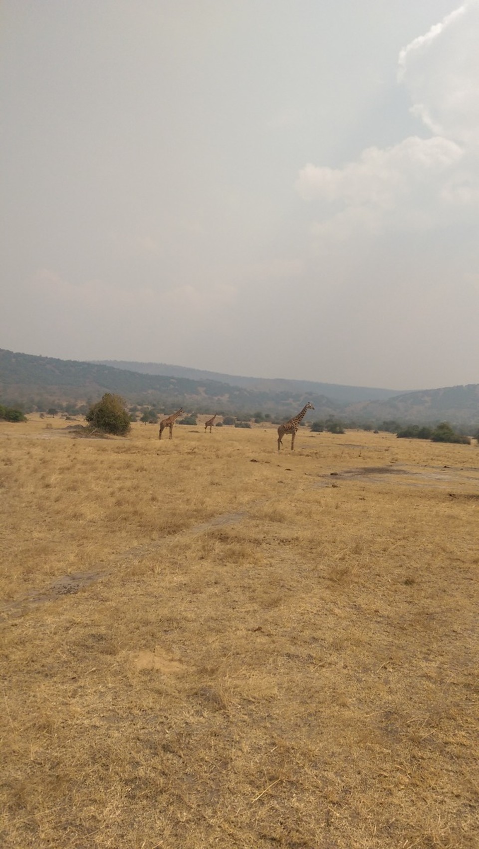 Ruanda - Akagera Village - 