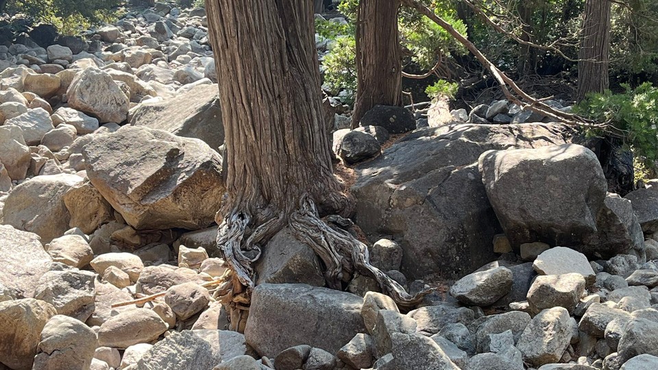 Vereinigte Staaten - Coulterville - 