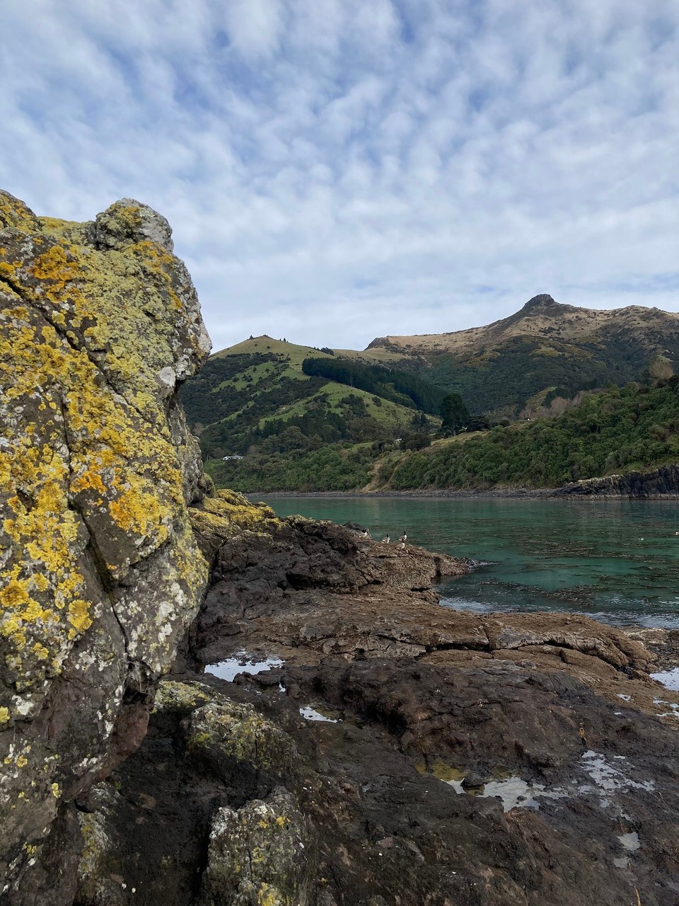 Neuseeland - French Farm - 