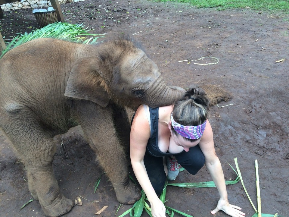 Thailand - Chiang Mai - 