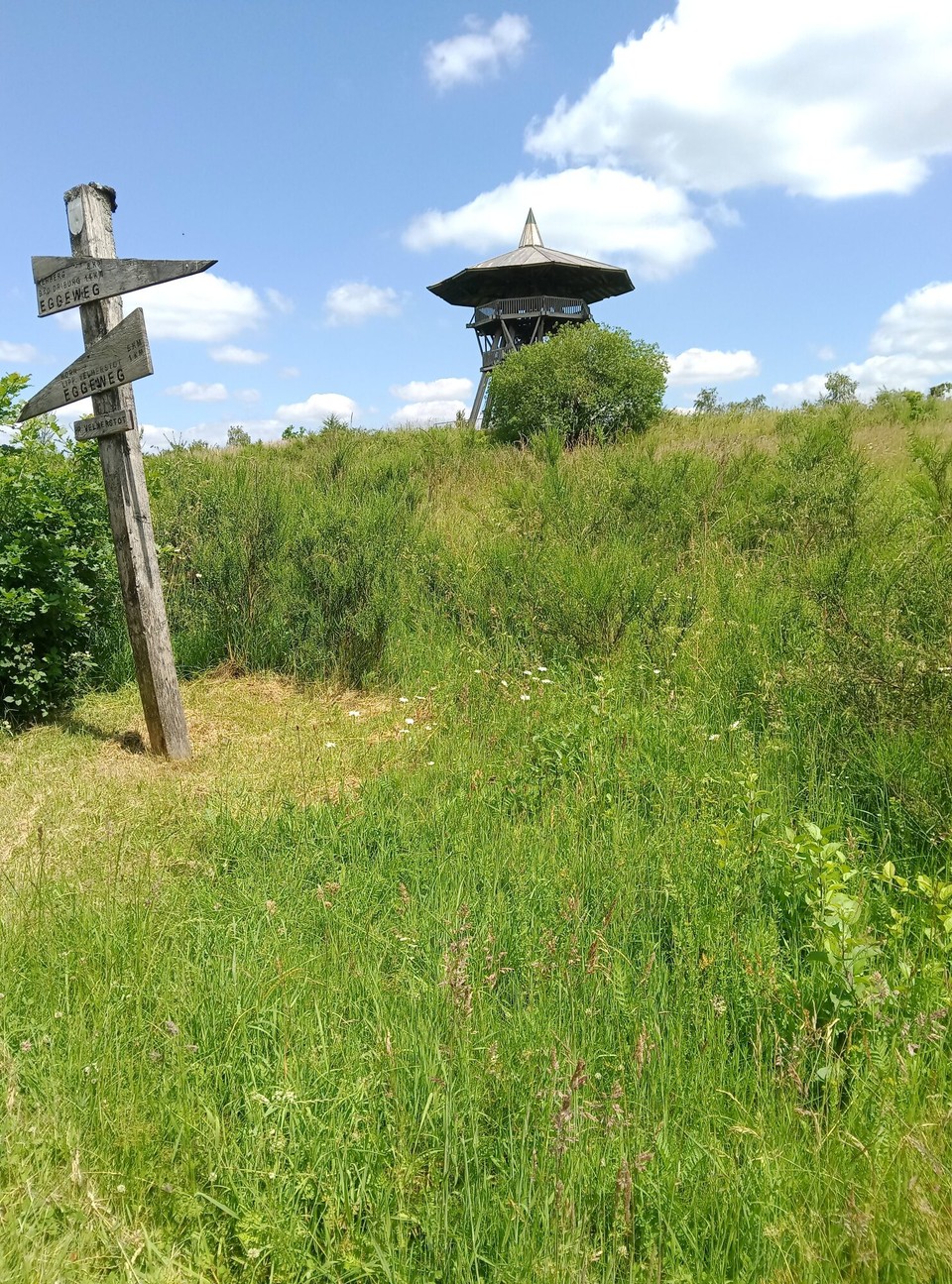 Deutschland - Horn-Bad Meinberg - Nur noch wenige Meter bis zum Eggeturm 