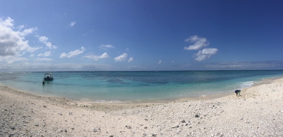  - Australia, Great Barrier Reef Conservation Reserve, Lady Elliot Island - 