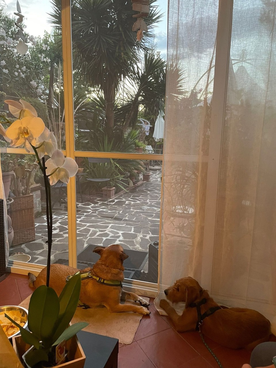 Italien - Manfredonia - Zu Besuch bei einem Freund