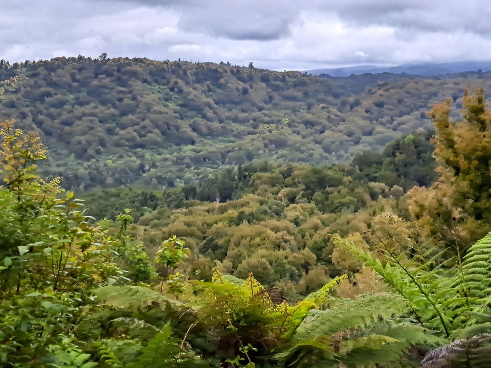 Neuseeland - Taumarunui - 
