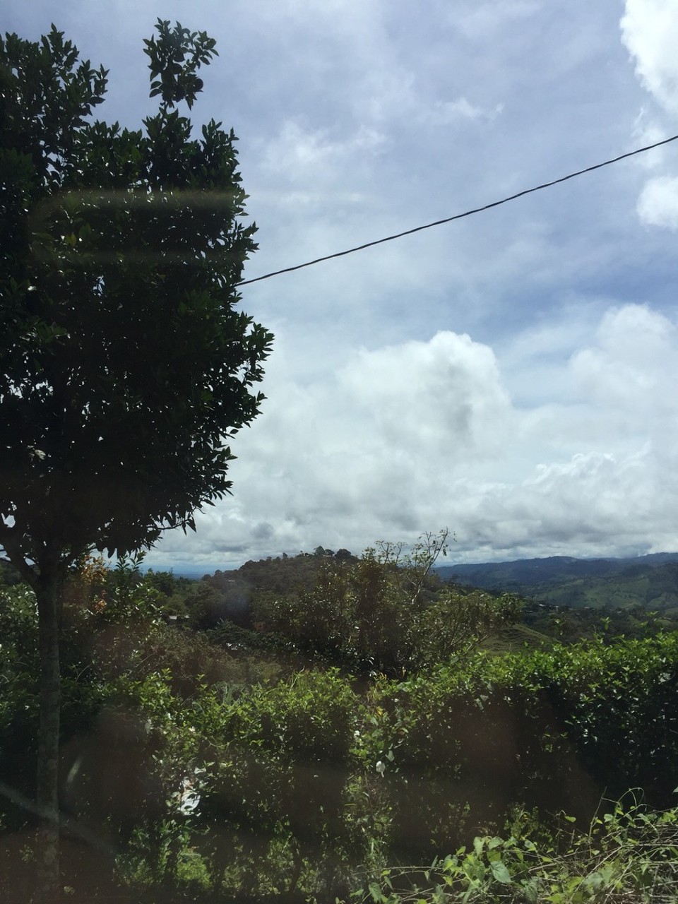 Costa Rica - Pérez Zeledón - 