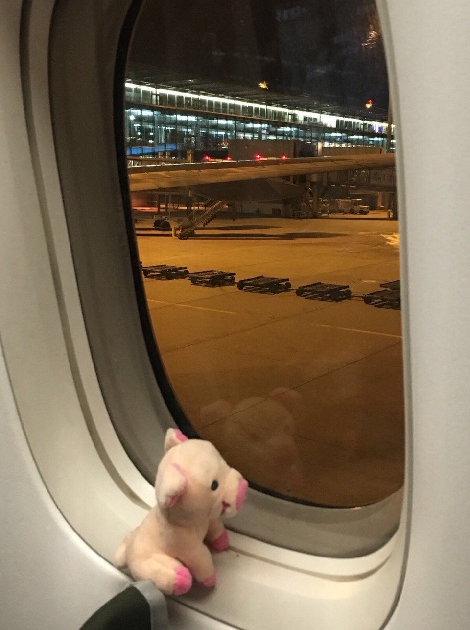 Schweiz - Zürich-Flughafen - ...wir drei!