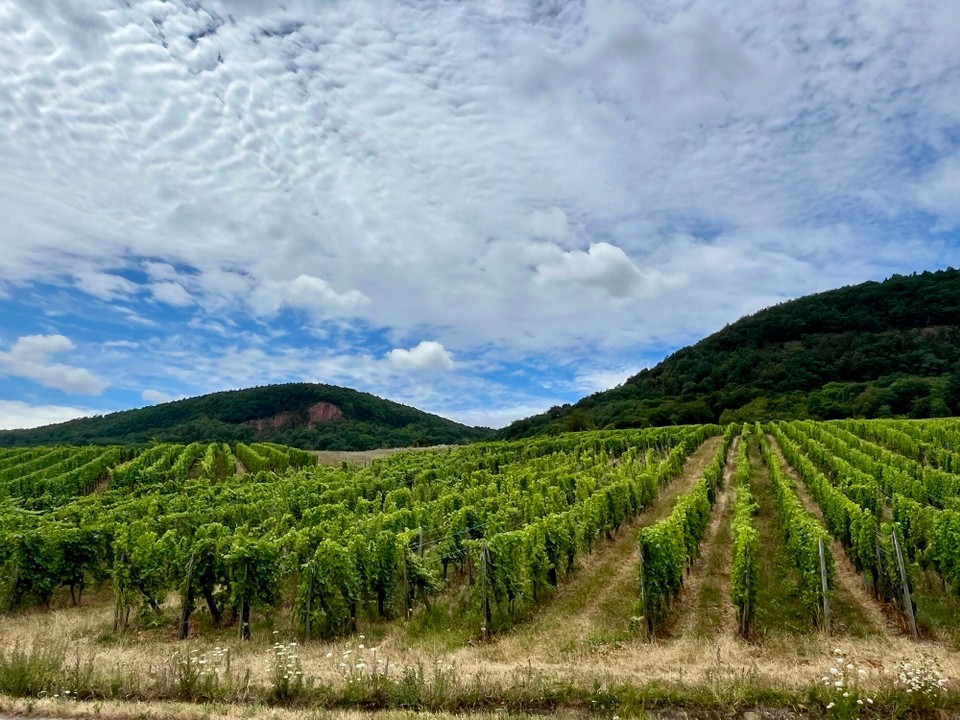 Frankreich - Eguisheim - 