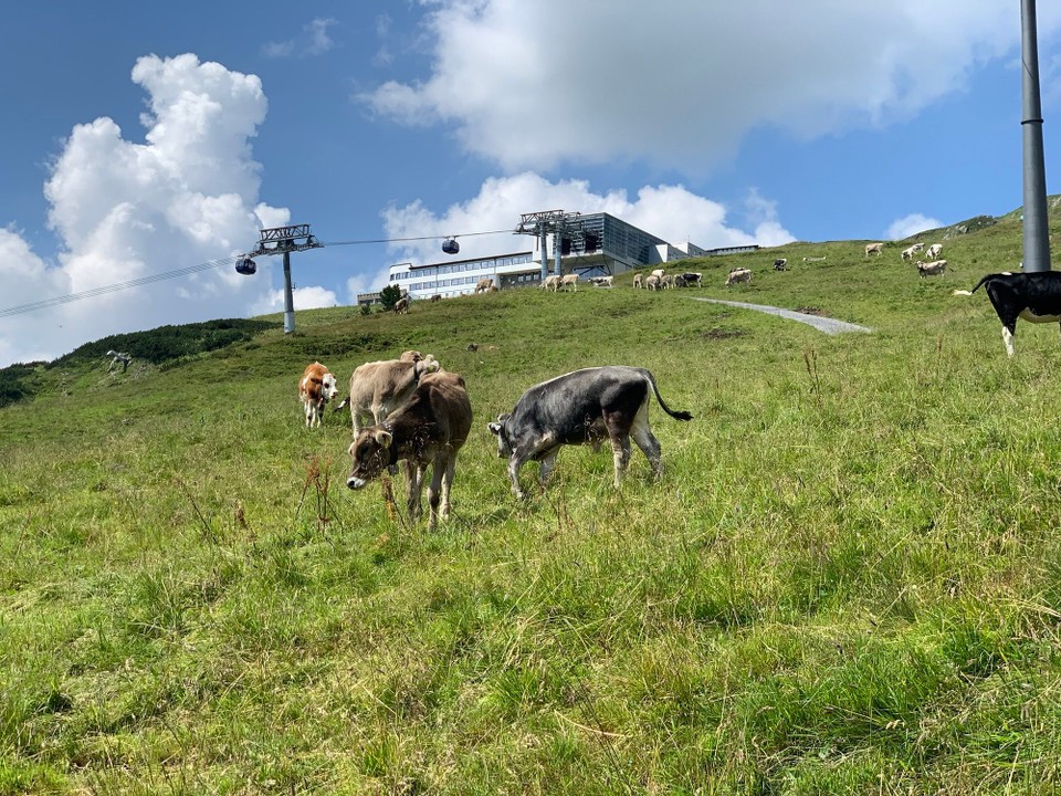 Österreich - Sankt Anton am Arlberg - 